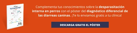 Póster diagnóstico diferencial Póster diagnóstico diferencial