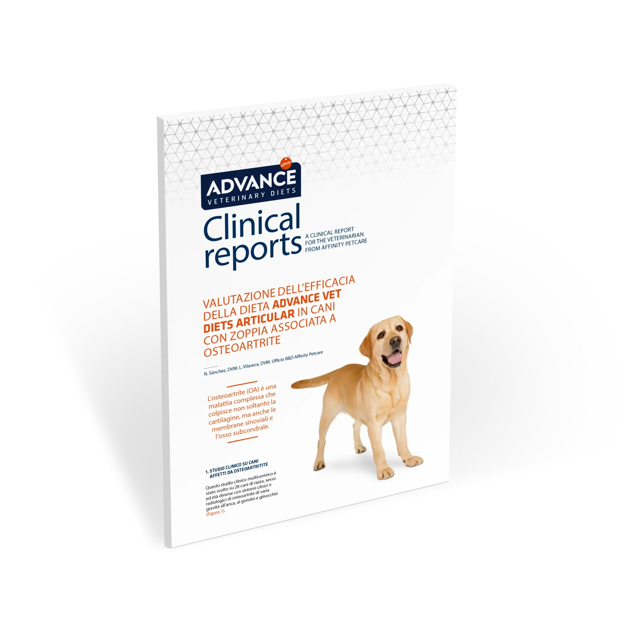 Clinical Report Articular Clinical Report Articular