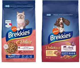 Balanced nutrition and excellent taste Balanced nutrition and excellent taste