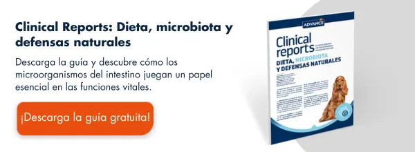 Nueva llamada a la acción Nueva llamada a la acción