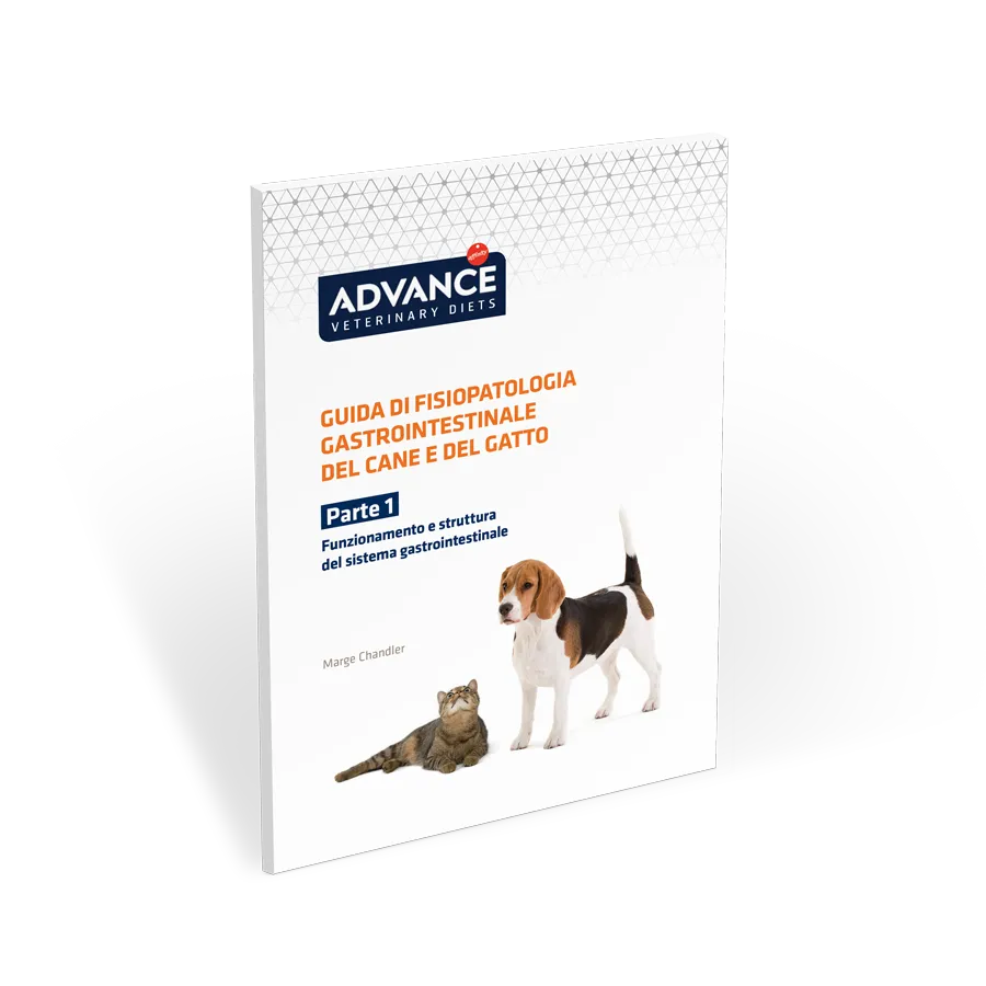 guida-fisiopatologia-gastrointestinale-parte-1 guida-fisiopatologia-gastrointestinale-parte-1