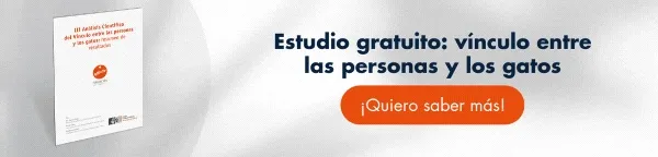 Descarga el análisis científico del Vínculo entre las personas y los gatos [¿Cómo es la interacción? ¿Hay diferencias entre sexos? Encuentra todas las respuestas en el estudio]