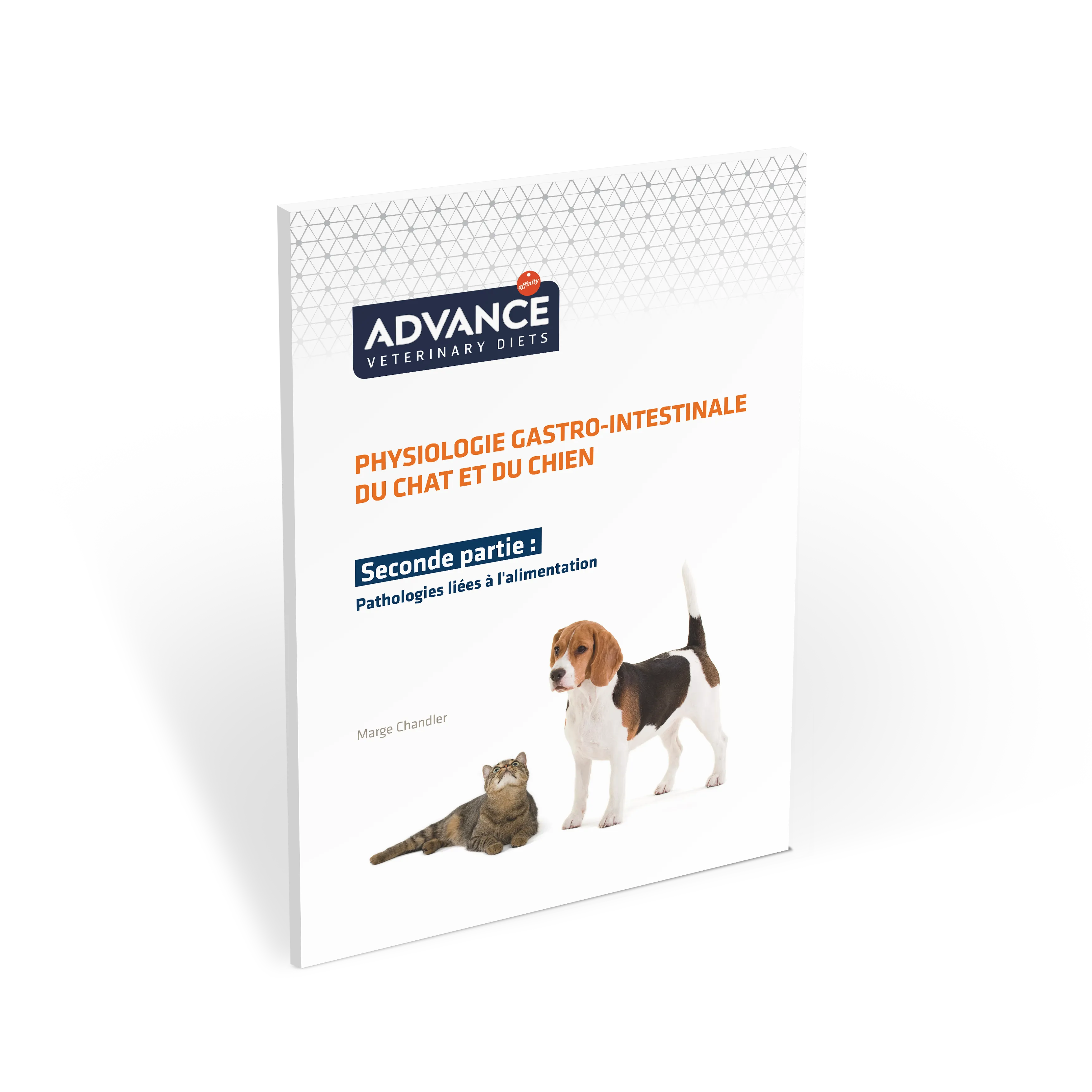 physiologie-gastro-intestinale-deuxième-partie physiologie-gastro-intestinale-deuxième-partie