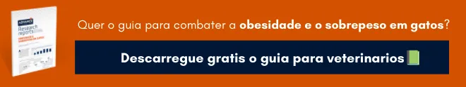 Quer o guia para combater a obesidade e o sobrepeso em gatos? Descarregue GRATUITAMENTE Quer o guia para combater a obesidade e o sobrepeso em gatos? Descarregue GRATUITAMENTE