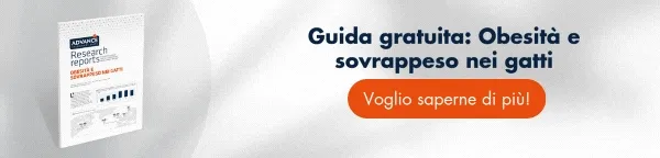 Research Report: Obesità e sovrappeso nei gatti → Scarica gratis il report. Include: Rapporto tra obesità, fattori di rischio per l'obesità felina ...e moltro altro! Research Report: Obesità e sovrappeso nei gatti → Scarica gratis il report. Include: Rapporto tra obesità, fattori di rischio per l'obesità felina ...e moltro altro!