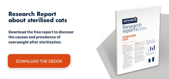 RR Gatos esterilizados RR Gatos esterilizados