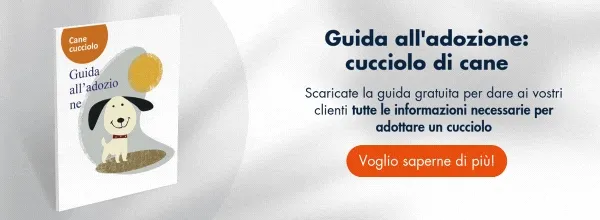 Nuevo llamado a la acción