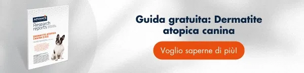 Dermatite Atopica Canina → Scarica gratis il report. Include informazione chaive su epidemiologia, eziopatogenesi, diagnosi, trattamento...