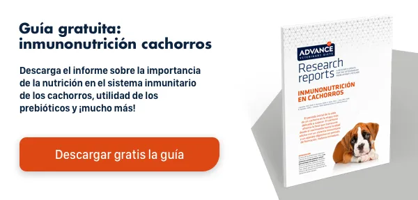 Descarga el informe: Inmunonutrición en cachorros