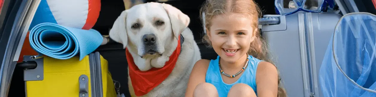 Vómito y diarrea en perros: más frecuentes durante el verano