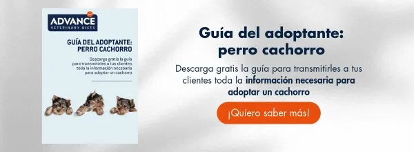 Descarga el informe: Leishmaniosis canina Descarga el informe: Leishmaniosis canina