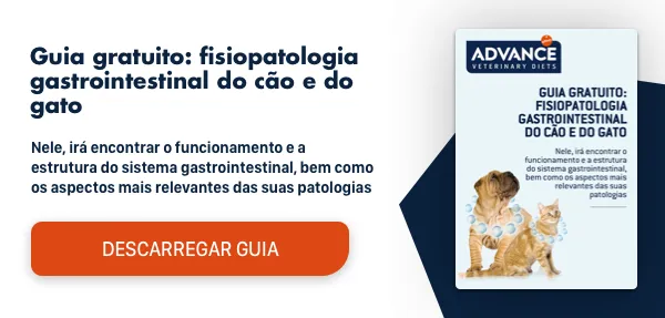 AFP - Guía GI Parte2 - Sidebar AFP - Guía GI Parte2 - Sidebar
