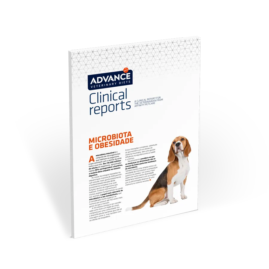 microbiota-e-obesidade microbiota-e-obesidade