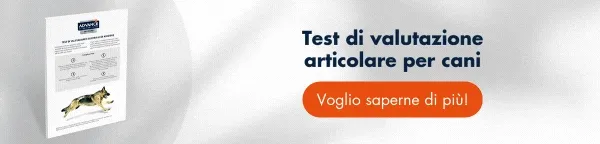 Test di valutazione articular e controlle dell'adesione→ Scarica gratis il test Verifica i progressi nella salute articolare del cane. Test di valutazione articular e controlle dell'adesione→ Scarica gratis il test Verifica i progressi nella salute articolare del cane.