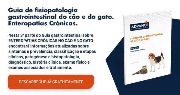 Nuevo llamado a la acción Nuevo llamado a la acción