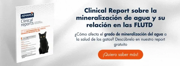 CR Urinary mineralización agua CR Urinary mineralización agua