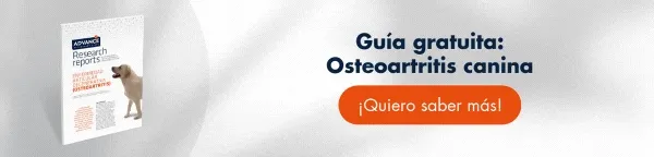 Guía Osteoartritis canina: Herramientas de prevención y tratamiento Guía Osteoartritis canina: Herramientas de prevención y tratamiento