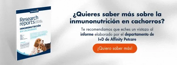 Descarga el informe: Inmunonutrición en cachorros