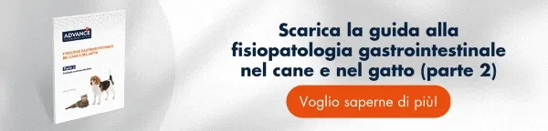 Scarica GRATUITAMENTE la guida alla fisiopatologia gastrointestinale del cane e del gatto (Parte 2)