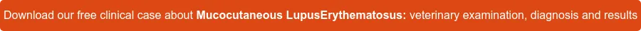 Download our free clinical case about Mucocutaneous Lupus Erythematosus: veterinary examination, diagnosis and results