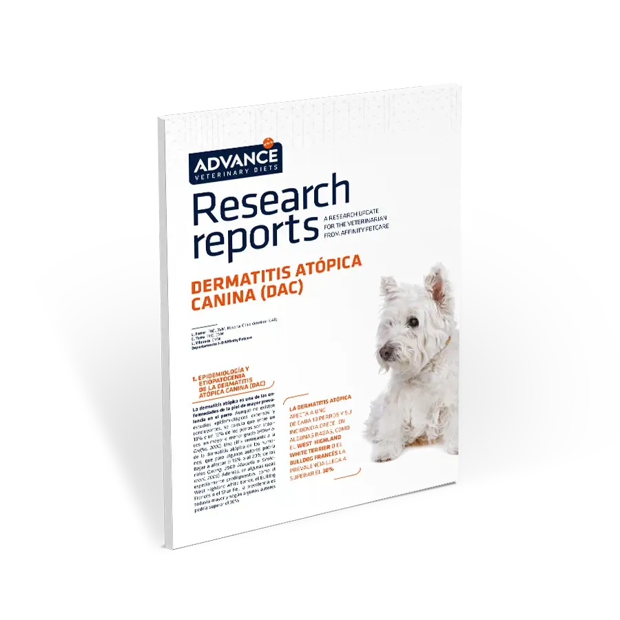 Dermatitis atópica canina