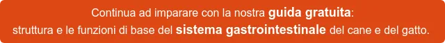 Continua ad imparare con la nostra guida gratuita: struttura e le funzioni di base del sistema gastrointestinale del cane e del gatto. Continua ad imparare con la nostra guida gratuita: struttura e le funzioni di base del sistema gastrointestinale del cane e del gatto.