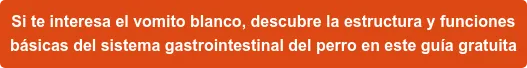 Si te interesa saber más sobre vómito blanco en perros, descarga GRATIS [Guía gastrointestinal del perro y el gato parte 1]