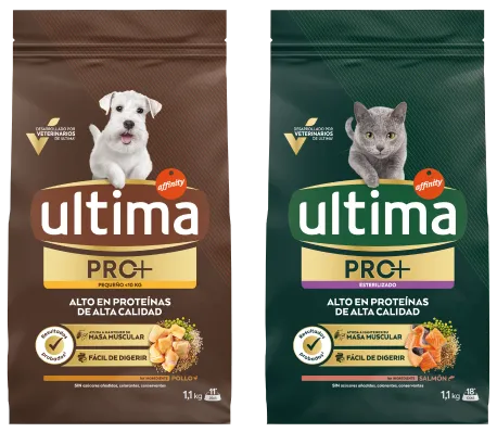 Complete food for cats and dogs Complete food for cats and dogs