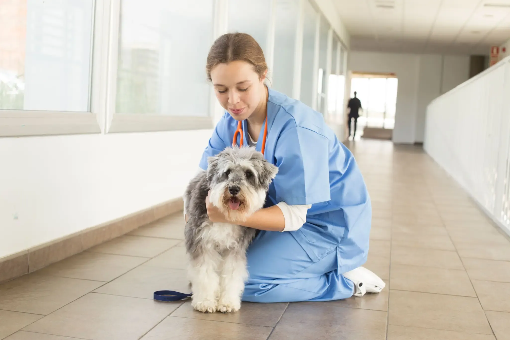 Rigurgito nei cani: approccio diagnostico