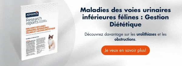 ↓Téléchargez gratuitement ici↓ Rapport sur les maladies du système urinaire féline ↓Téléchargez gratuitement ici↓ Rapport sur les maladies du système urinaire féline
