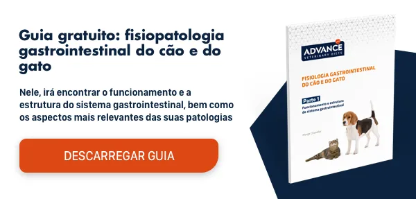 AFF - TOFU - Guía GI Parte2 - POST AFF - TOFU - Guía GI Parte2 - POST