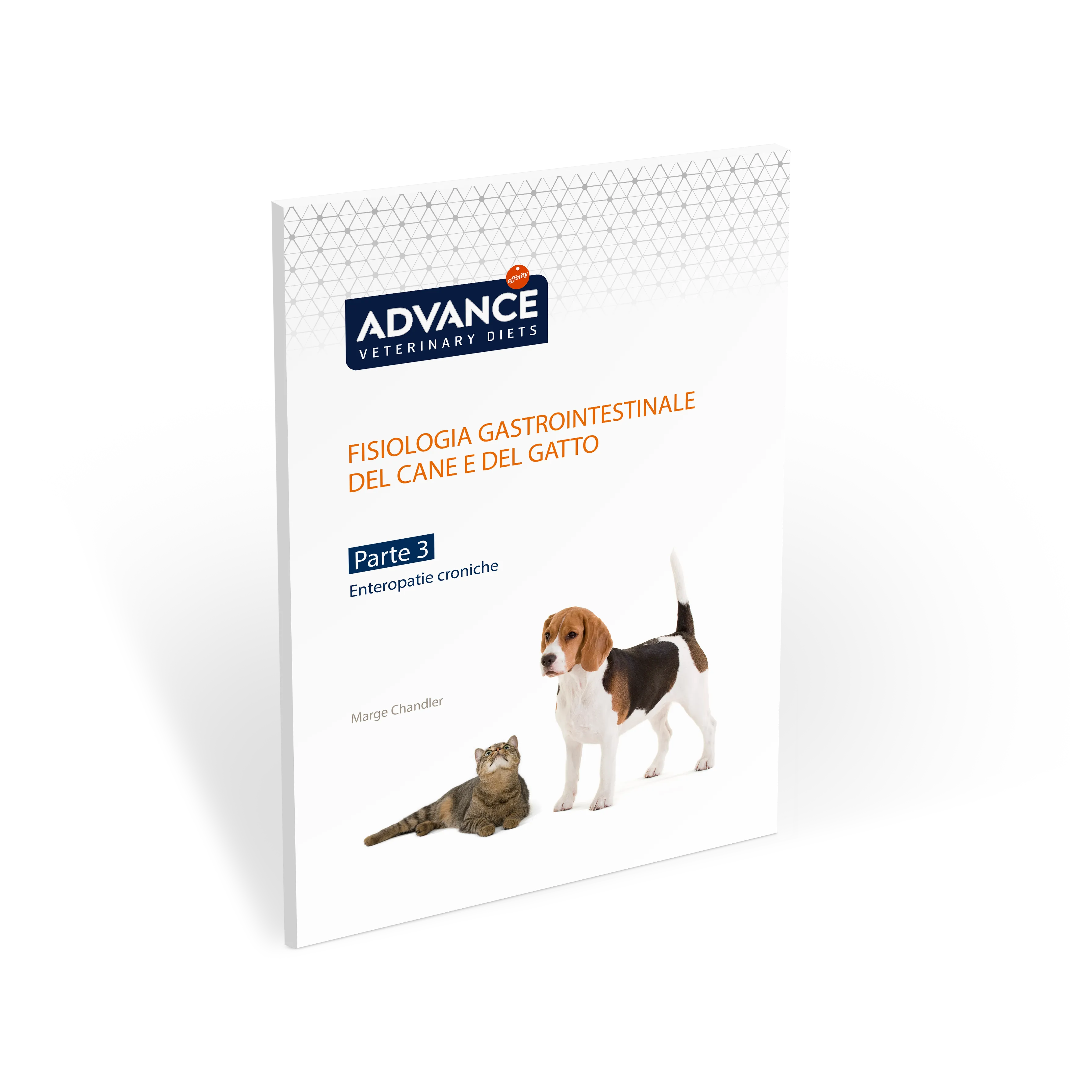 guida-fisiopatologia-gastrointestinale-parte-3 guida-fisiopatologia-gastrointestinale-parte-3