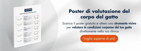 New call-to-action New call-to-action