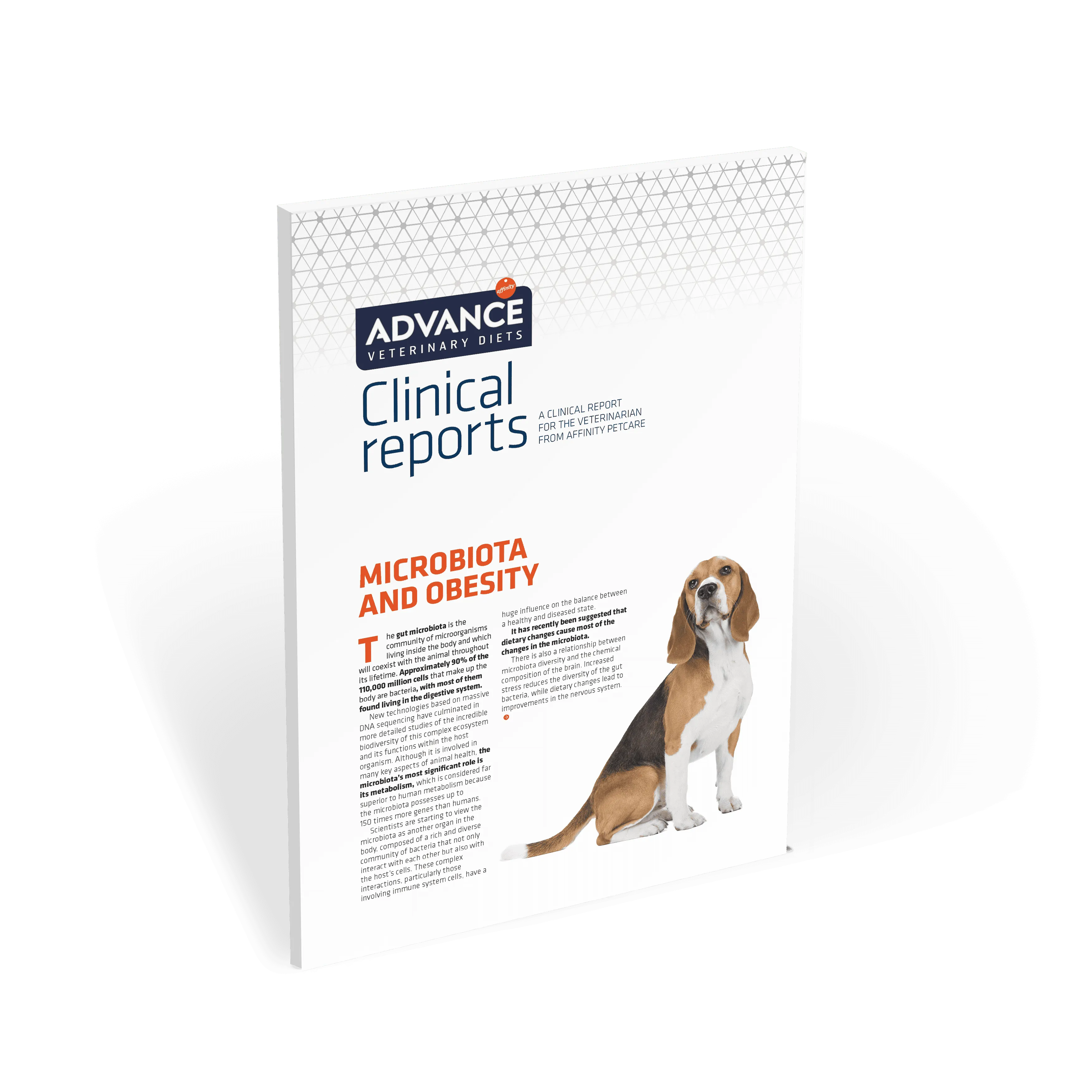 Portada_AAFF_Fldr_AFFINITY_CR_Microbiota_250619_EN