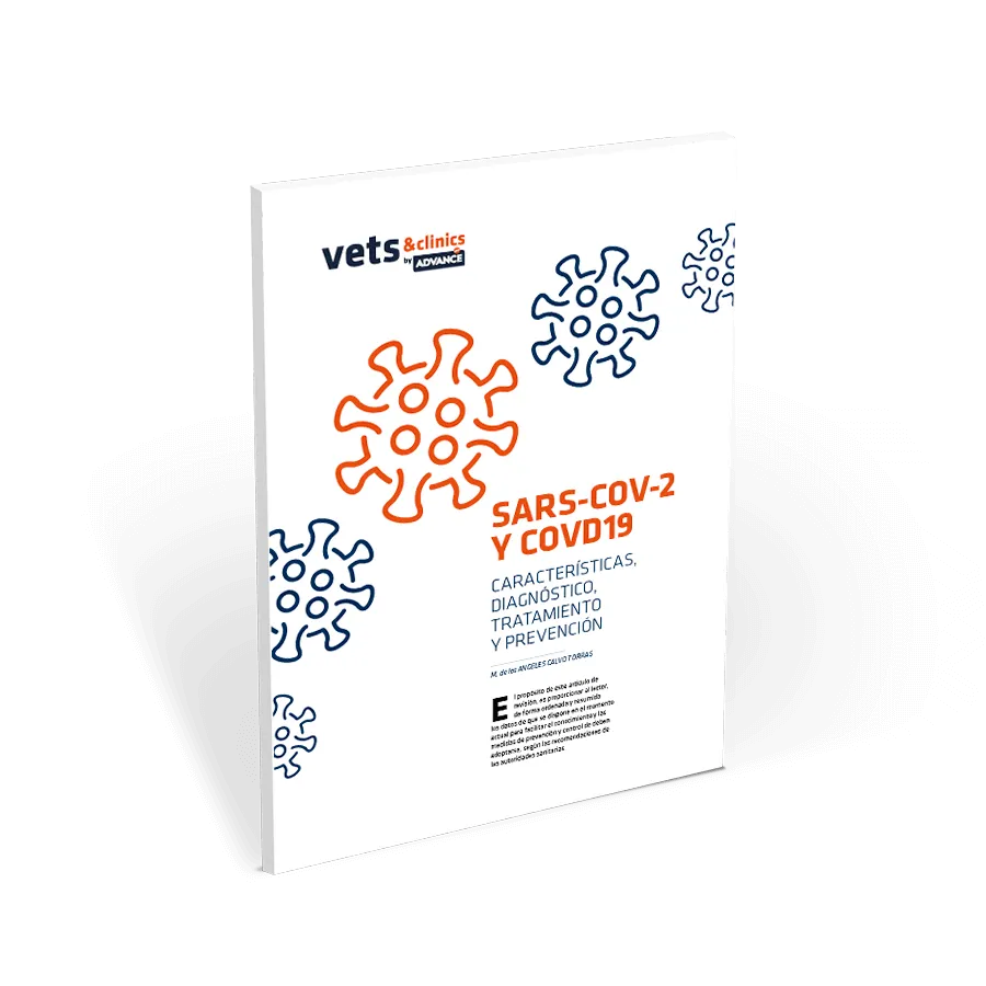 informe-SARS-CoV-2-y-COVID-19 informe-SARS-CoV-2-y-COVID-19