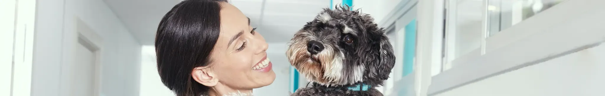 Programma "Respétame" della Fondazione Affinity ed educazione assistita con gli animali Programma "Respétame" della Fondazione Affinity ed educazione assistita con gli animali