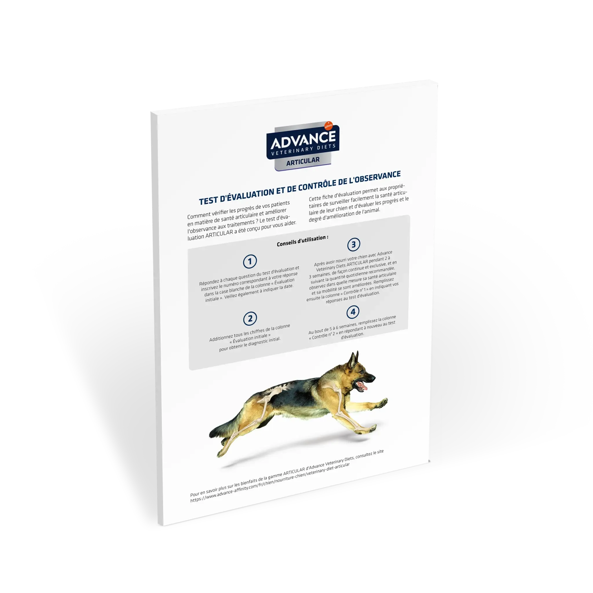 Test d'évaluation articulaire du chien