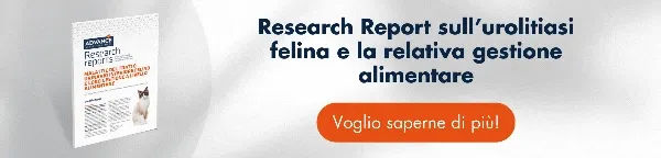 [Scarica gratis] la seconda parte del Research Report sulle Malattie del tratto urinario felino per accedere a informazioni sistematiche e aggiornante sulle cause della fluid e sulla sua gestione alimentare.