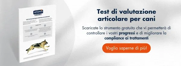 Test di valutazione articular e controlle dell'adesione→ Scarica gratis il test Verifica i progressi nella salute articolare del cane. 