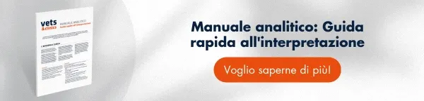 Nueva llamada a la acción