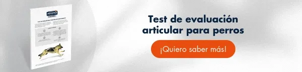 ¡Revisa la salud articular de los perros con nuestro test! Descárgalo gratis ¡Revisa la salud articular de los perros con nuestro test! Descárgalo gratis