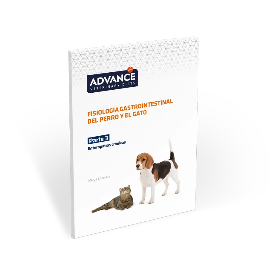 guia-fisiologia-gastrointestinal-parte3 guia-fisiologia-gastrointestinal-parte3