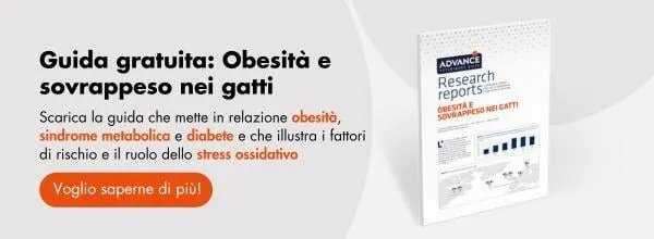 Nuevo llamado a la acción