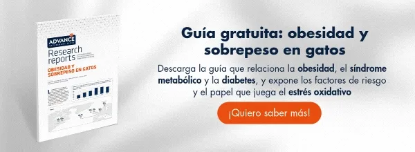 Descarga los requerimientos nutricionales para gatos esterelizados Descarga los requerimientos nutricionales para gatos esterelizados