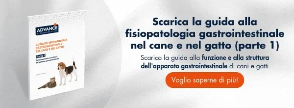 Nuevo llamado a la acción Nuevo llamado a la acción