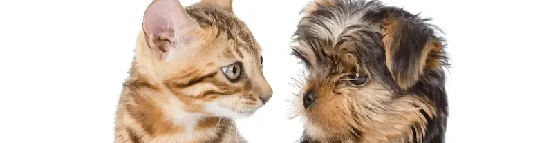 Uso de doxiciclina y resistencia a antibióticos