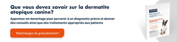 Guide Dermatite Atopique Canine : Téléchargez gratuitement ici Guide Dermatite Atopique Canine : Téléchargez gratuitement ici