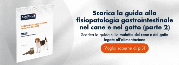 Scarica GRATUITAMENTE la guida alla fisiopatologia gastrointestinale del cane e del gatto (Parte 2)