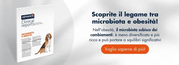 Nuevo llamado a la acción Nuevo llamado a la acción