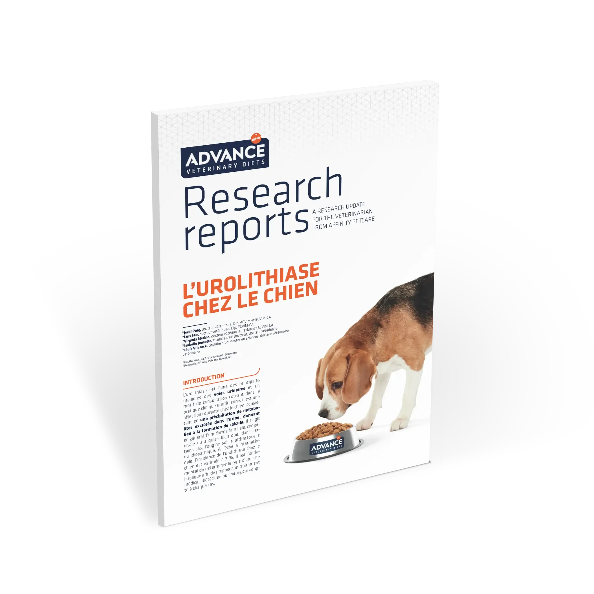 Research Report: Urolithiase chez le chien